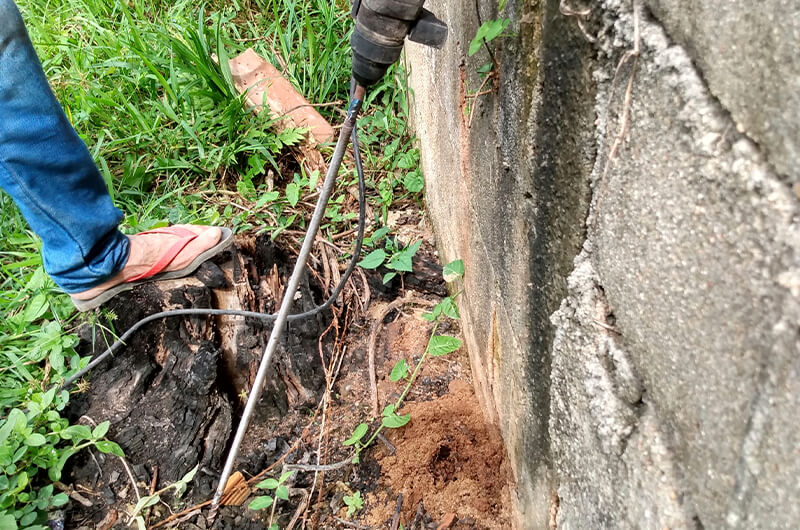 Dedetização ecosan